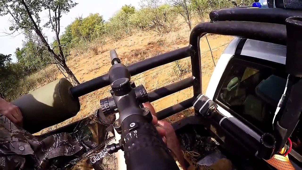 Kudu Hunting in South Africa