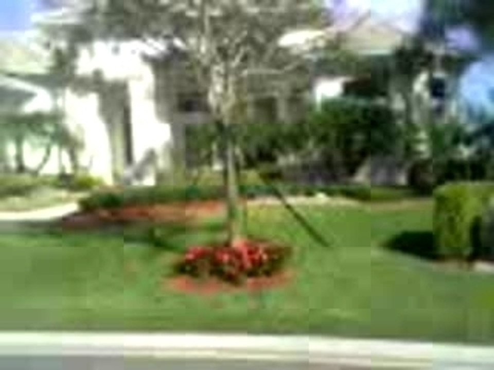 Miami Club