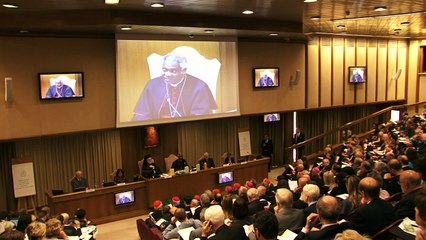 El papa fustiga a depredadores del medio ambiente