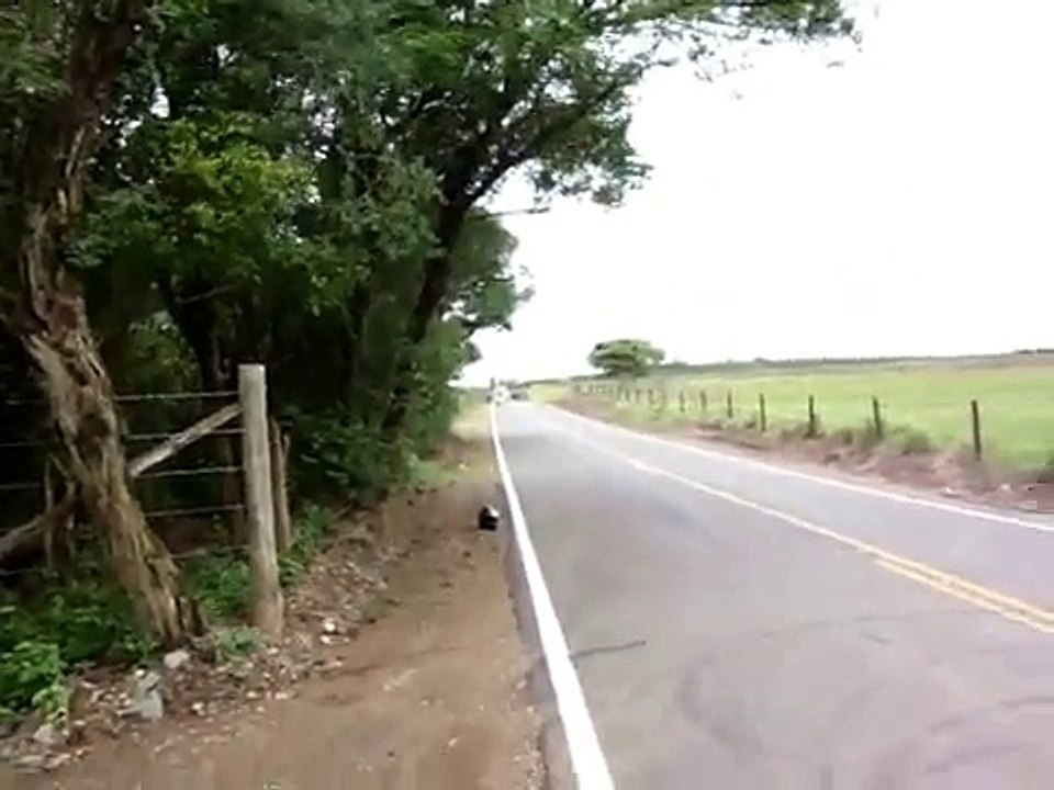grau de moto em guarei 2