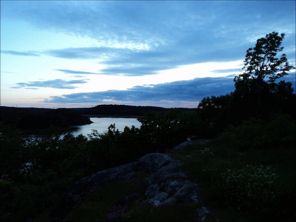 Subdued Light