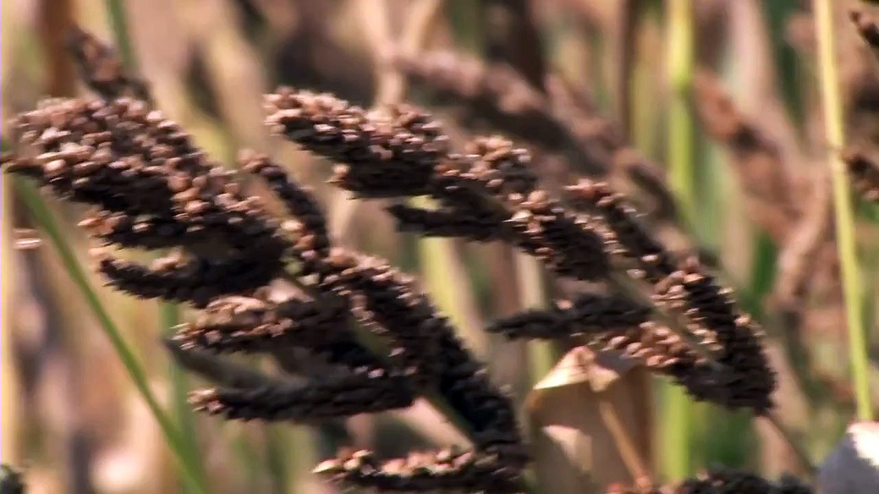 Duck Commander Presents: Ten Commandments for Successful Duck Hunting