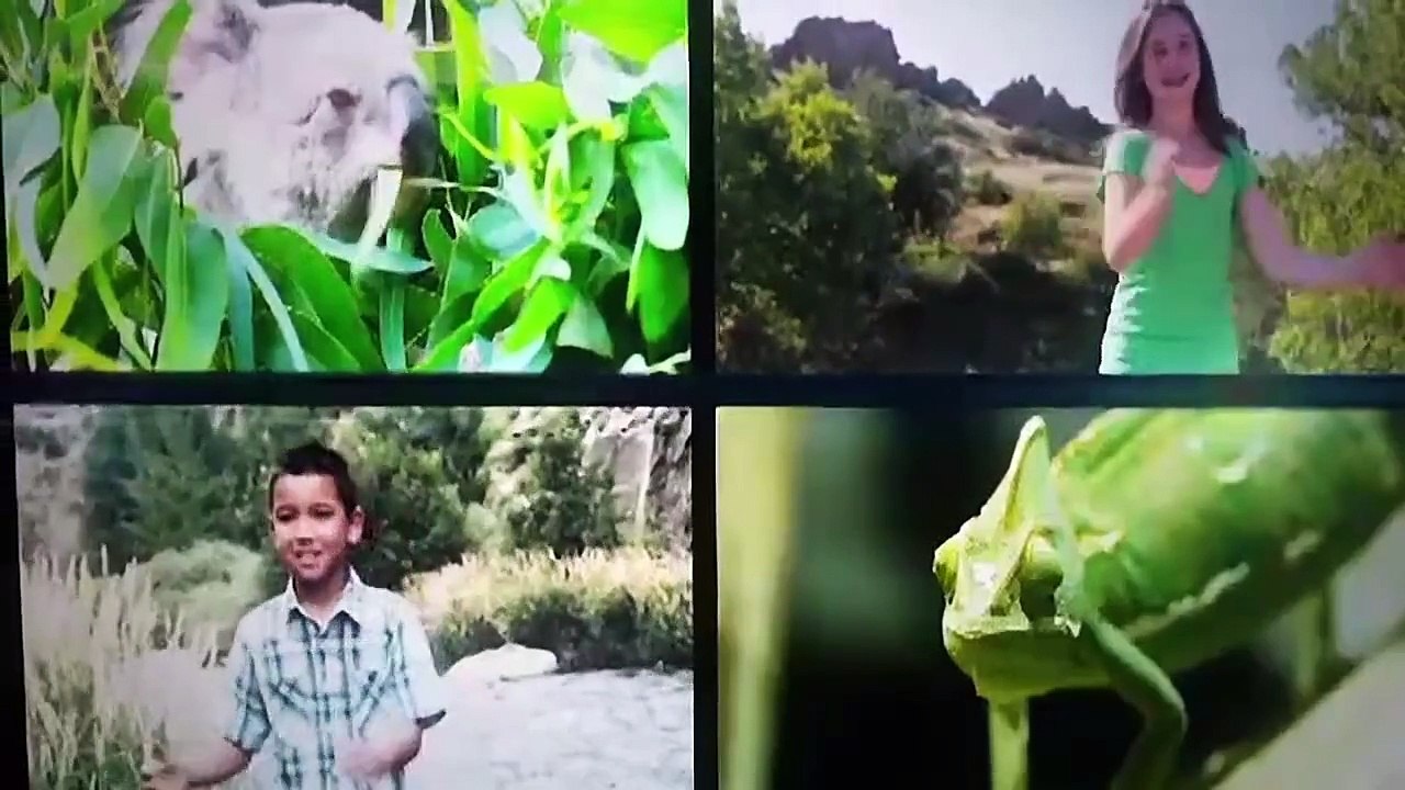 (Group's Video) VBS 2014 | Weird Animals | All Around the World with Lyrics