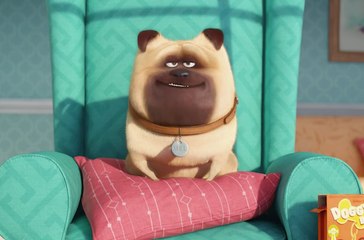 Bande-annonce : Comme des Bêtes - VOST