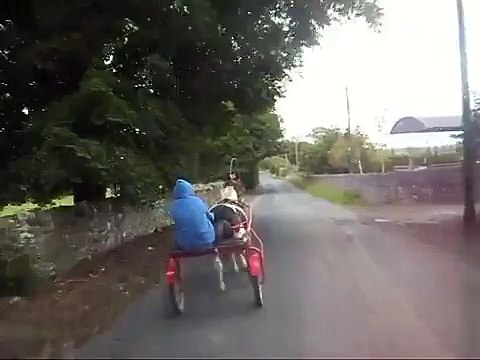 trotting horse: For Sale in Limerick