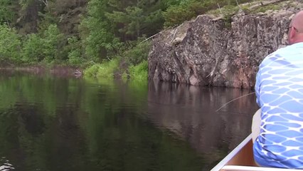 Smallmouth Bass on the Fly