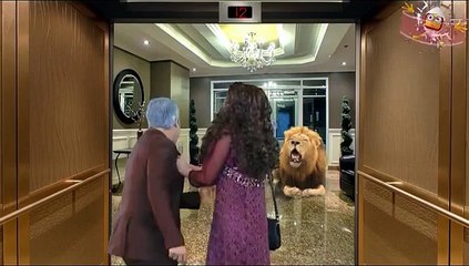 Hum Sab Umeed Say Hain