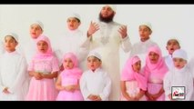 NABI KE DEEWANE - HAFIZ AHMED RAZA QADRI - OFFICIAL HD VIDEO