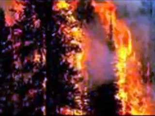 Can't Cry Hard Enough - Bellefire