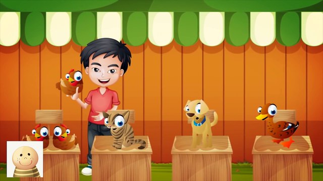 PIOSENKA -Jeszcze Większa Wystawa Zwierząt- Baw się z nami