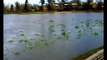 Lake Wendouree - Major Rains hit Ballarat