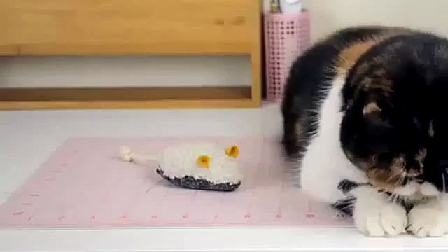 Possible Projects ► Diy Craft Projects For College Students Top Diy Craft Project Trends June 2015