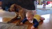 Funny babies imitating dogs   Cute dog & baby compilation
