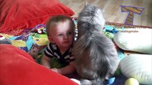 Cute cats cuddling and playing with babies   Cat & baby compilation