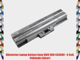 UBatteries Laptop Battery Sony VAIO VGN-CS36MJ - 6 Cell 4400mAh (Silver)