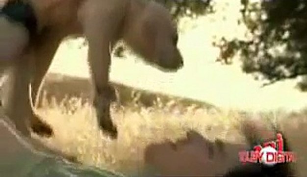 weezer- island in the sun