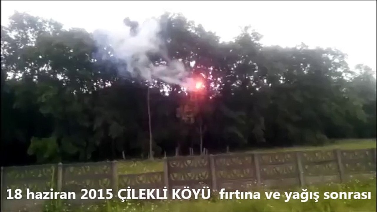 elektrik telleri birbirine değdi olan ağaca oldu