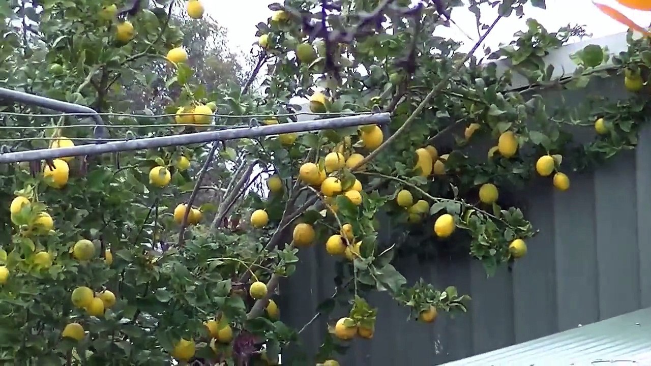 MPP Solar Inverter Charger PIP 4048MS. Installing the parallel board