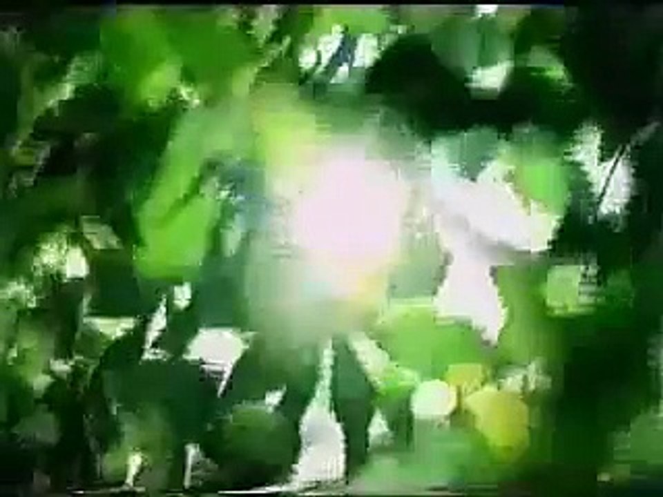 Whiskas First Ever Commercial for Cats