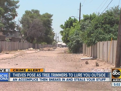 Valley thieves pose as tree trimmers to lure you outside