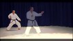 Shotokan Karate Syllabus First Belt Requirements