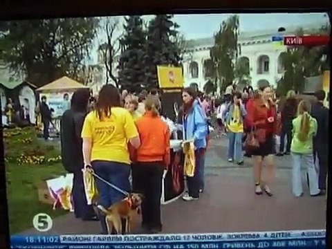 День Защиты Животных - Благотворительный Марафон