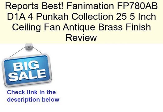 Fanimation FP780AB D1A 4 Punkah Collection 25 5 Inch Ceiling Fan Antique Brass Finish Review