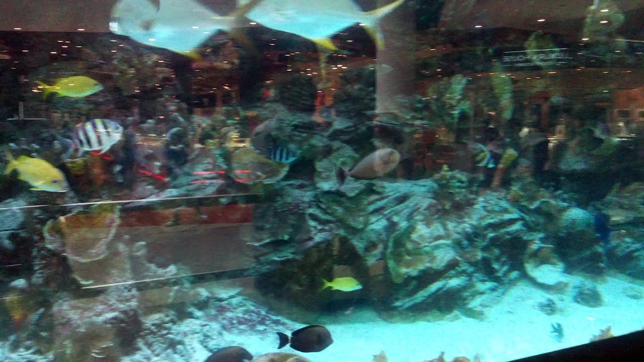 OCEAN PLAZA KIEV