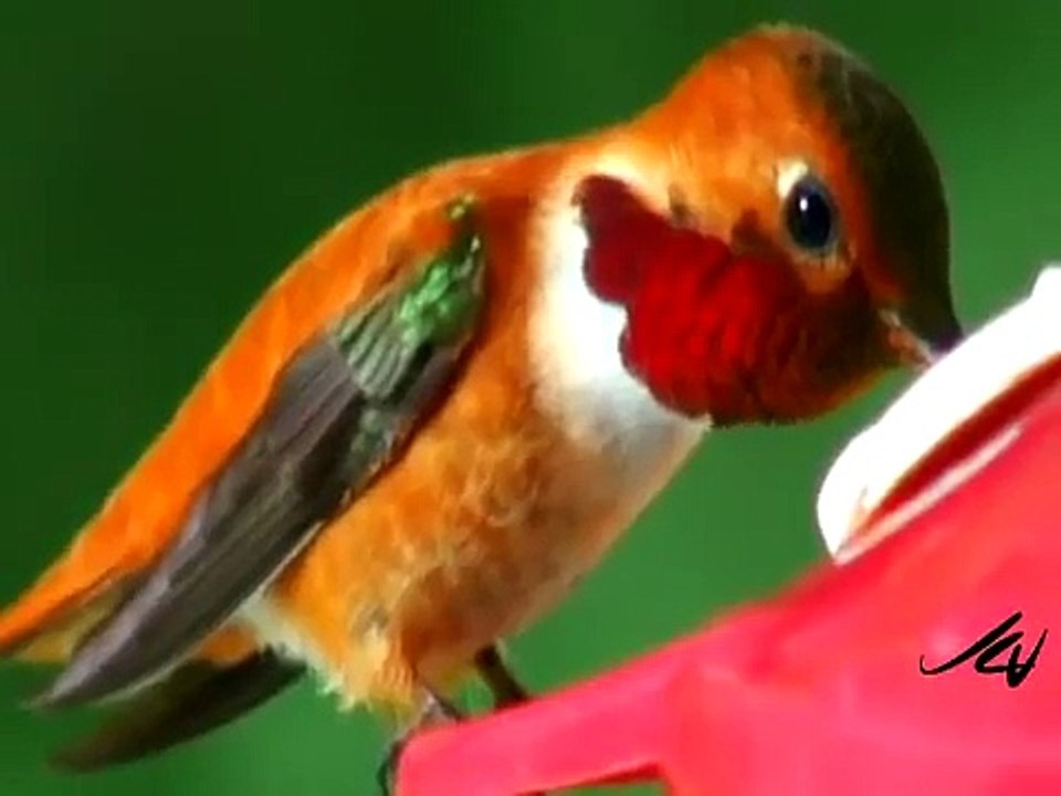 It's a Small World -