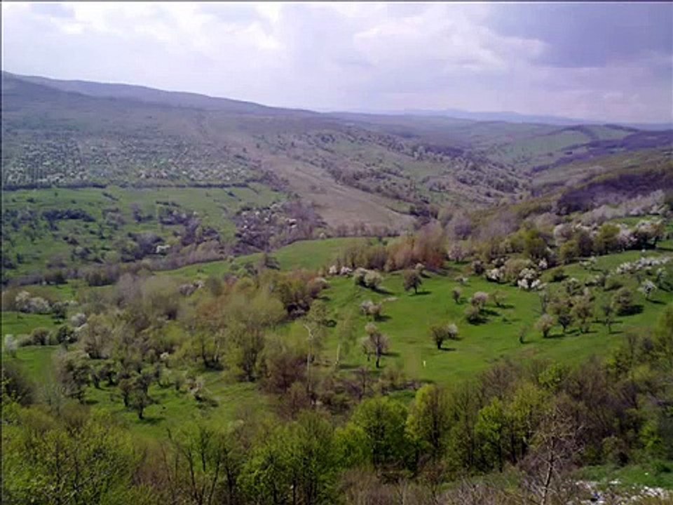 Tudor Gheorghe - In limba ta ( Grigore Vieru)