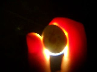 Candling Button Quail Egg Day 3