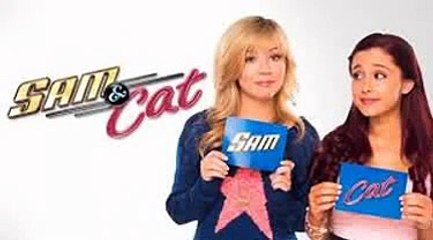Why did Sam and Cat end already?