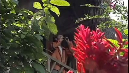 Samantha James- Send it Out to the Universe