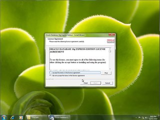 Primavera P6 Installaton