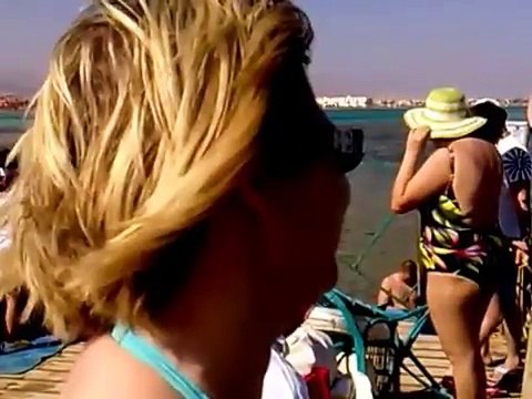 Egypt Sharm el Sheikh Holiday Sea Coral Reef Desert Camels 2010