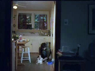 yellow pages commercial