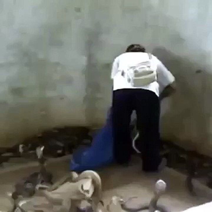 WTF!!?!?!!??