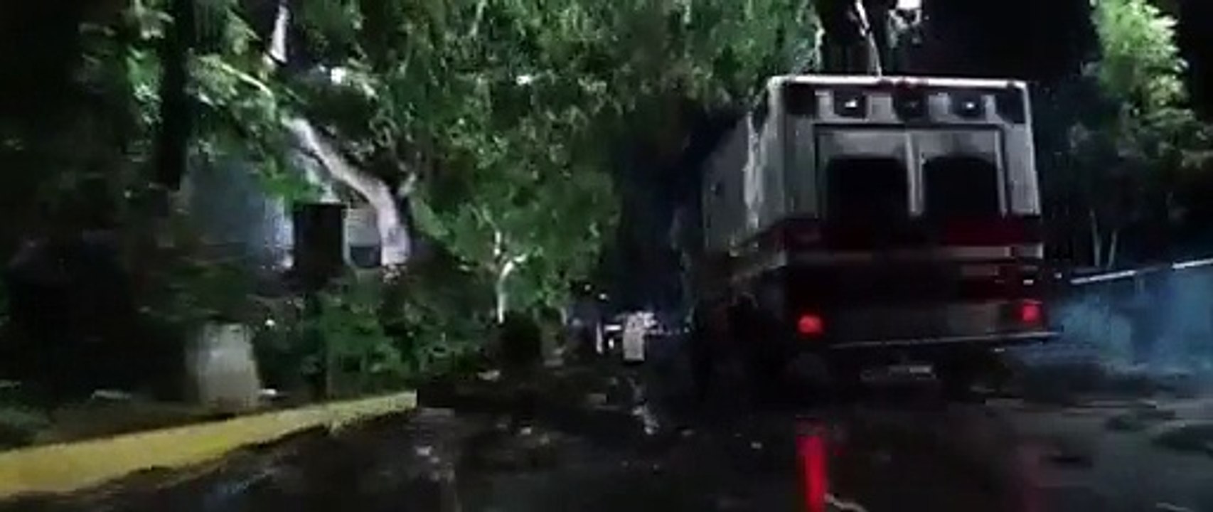 Horrible Frog Rain Hits New York City