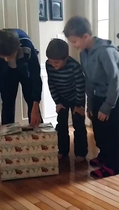 SURPRISE...Dog for Christmas (Funny reaction by three boys)