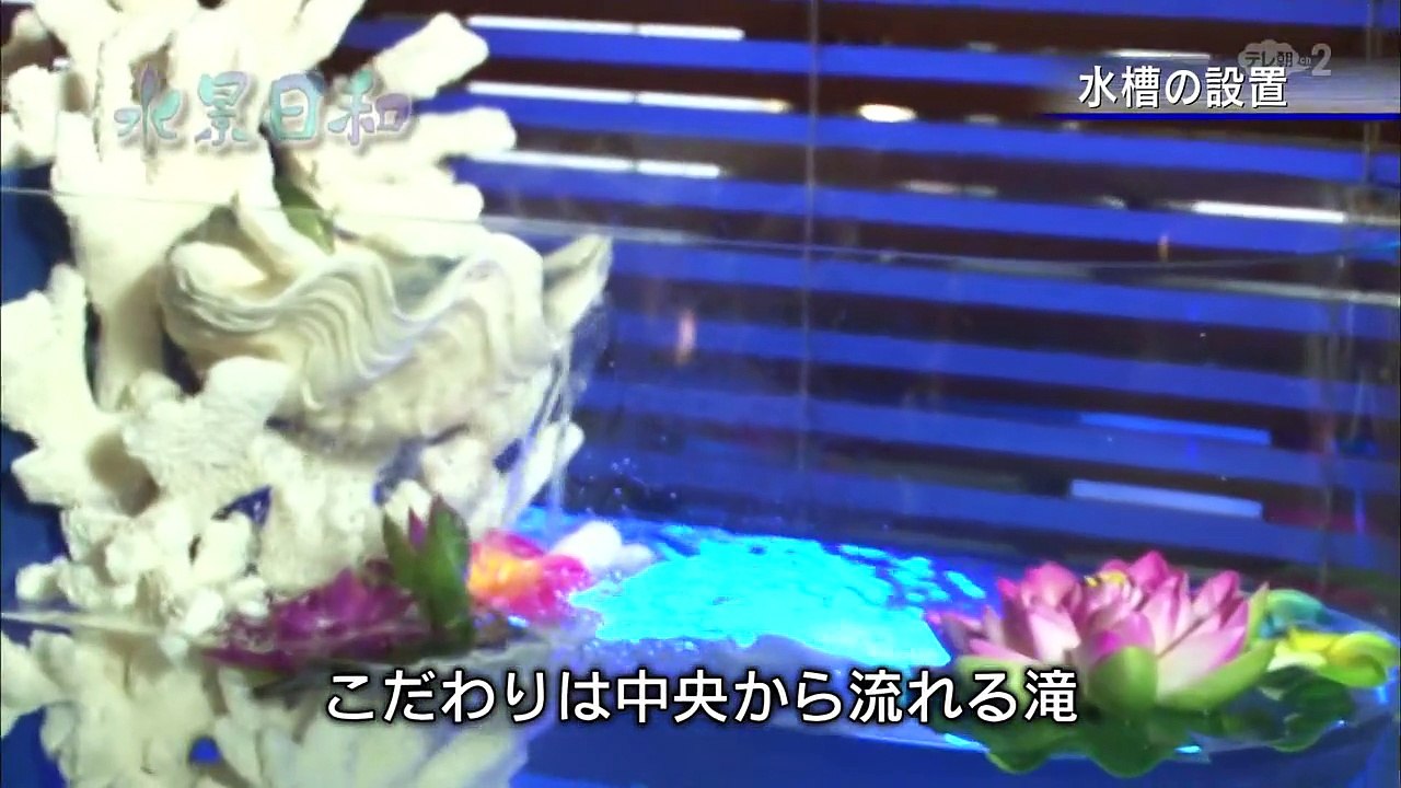 水景日和 20141212