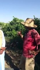 Installation du pompe solaire à Taroudant