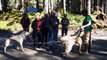Sled Dog Discovery & Musher's Camp - Juneau, Alaska