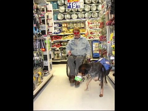 Clicker training with rescue dogs