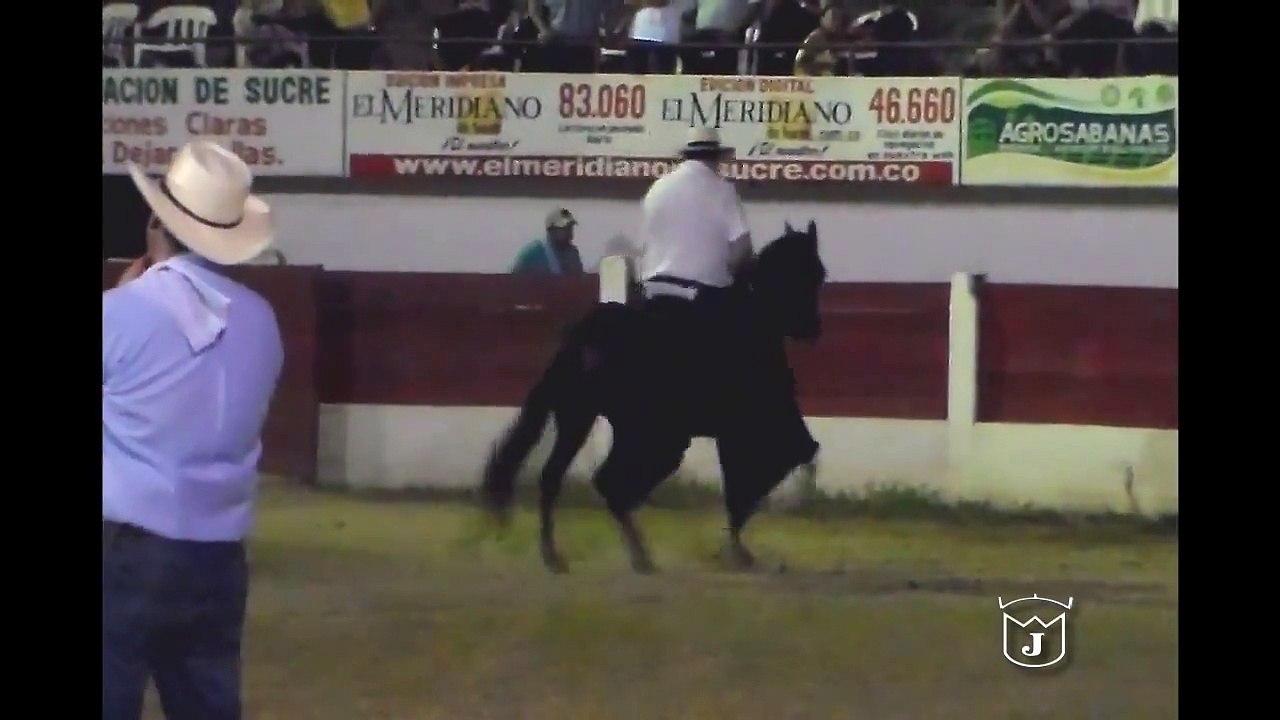Cabala del Alazan GRAN CAMPEONA Paso fino colombiano Jinetes NO Profesionales Sincelejo 2014