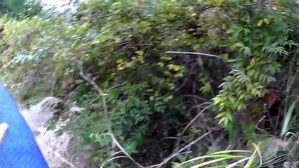 注意!　猪との激闘　スロー再生