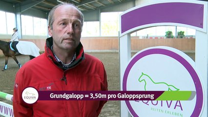 🌱 Anfänger-Workshop: Dein erster Schritt in die Frühlingssaison