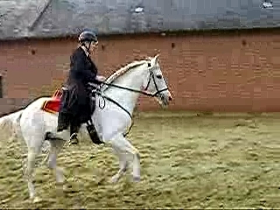 Zarto galop à gauche