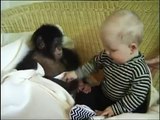 Yavru maymun ile bebeğin arkadaşlığı