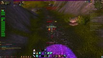DPS Monk - PVP (World of Warcraft)