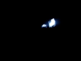 La maison hantée waligator